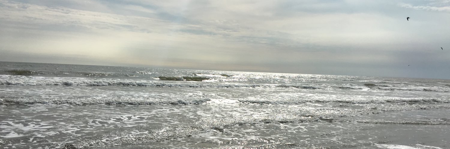 mayonazemc's profile banner image
