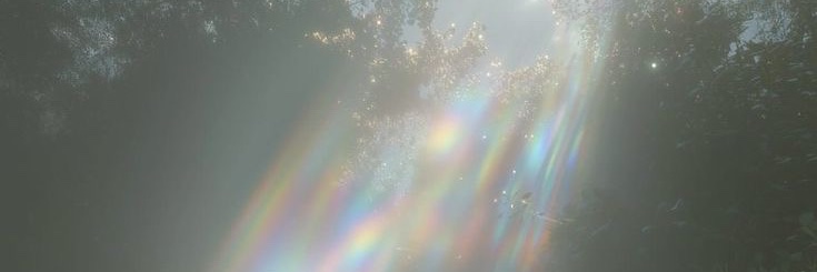 sophie🩶's banner