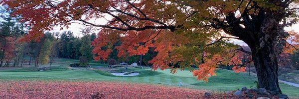 SighPichamol Profile Banner