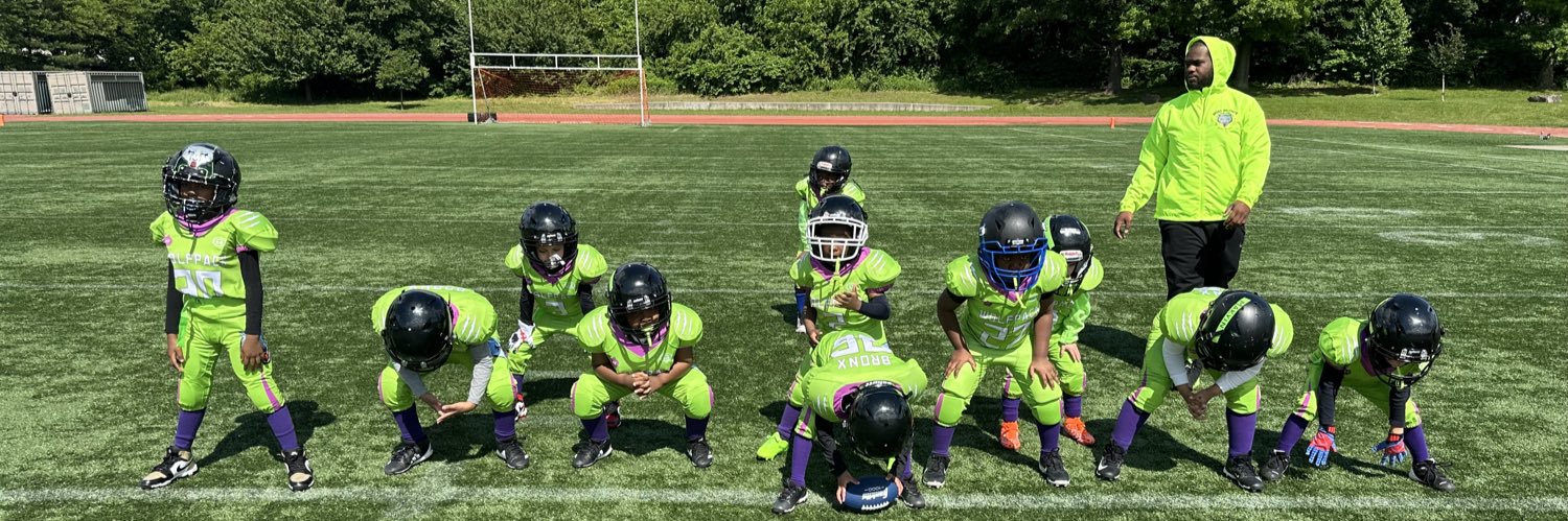 Bronxwolfpack banner