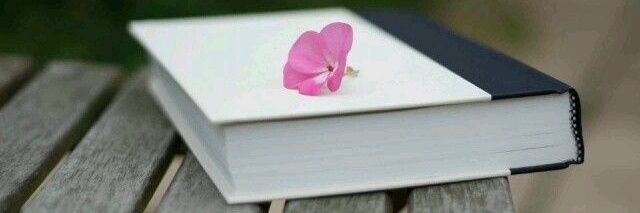 NikkielReads's profile banner image