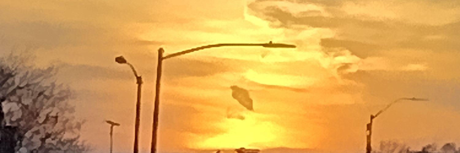 SisDebraKC's profile banner image