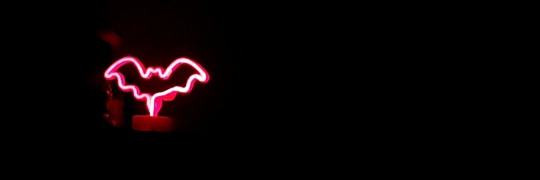 iridescentwon_'s profile banner image