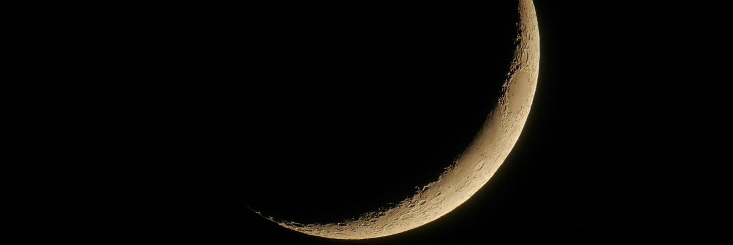 peternaural's profile banner image