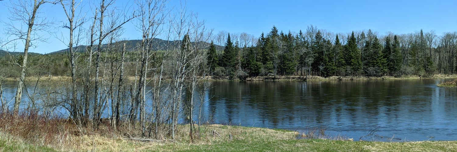 🏕️ Just Jill 🏕️ banner