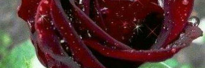 m2_ar's profile banner image