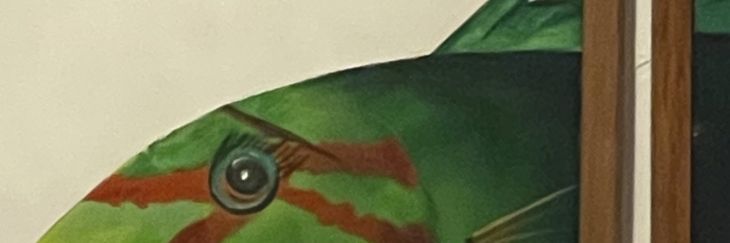 stompMarioStamp's profile banner image