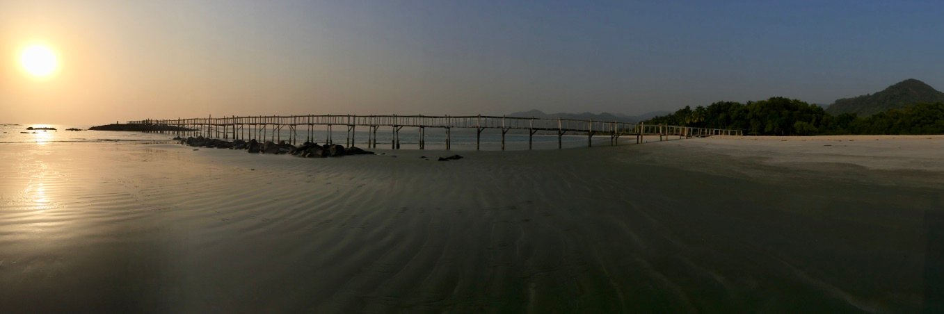 Eleanor Thompson banner