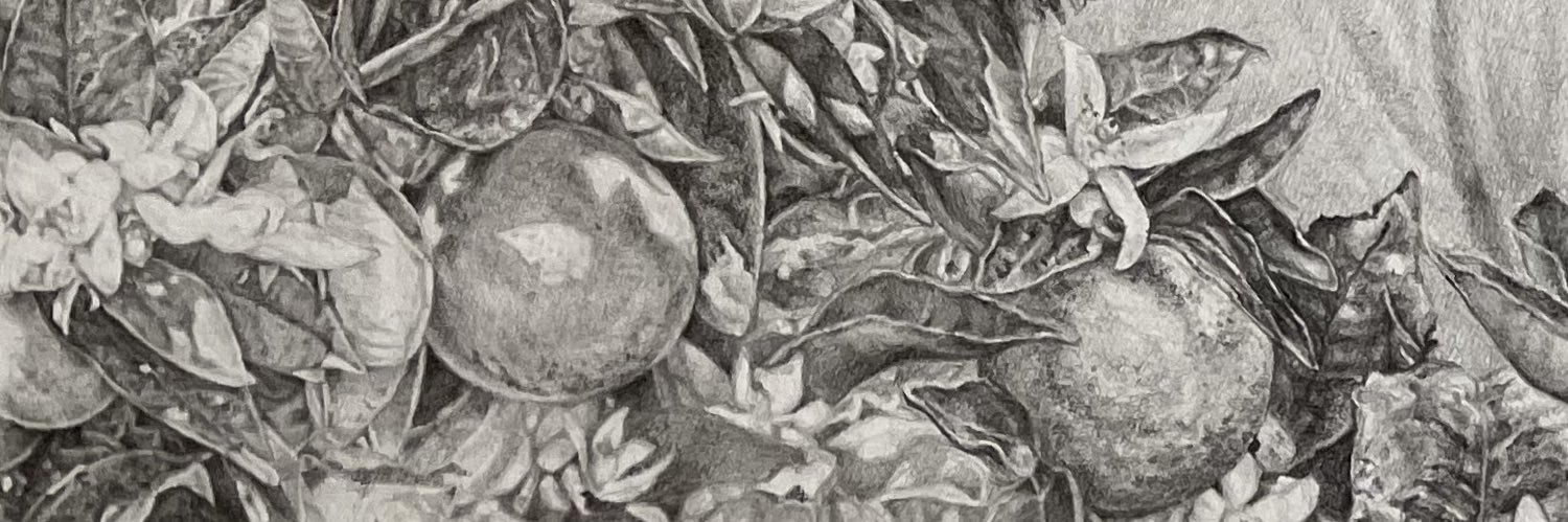 rachel ⍟⃝🍊 banner