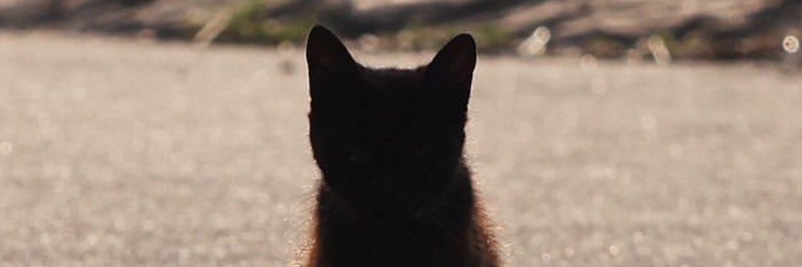 Sarah 要长胖 banner