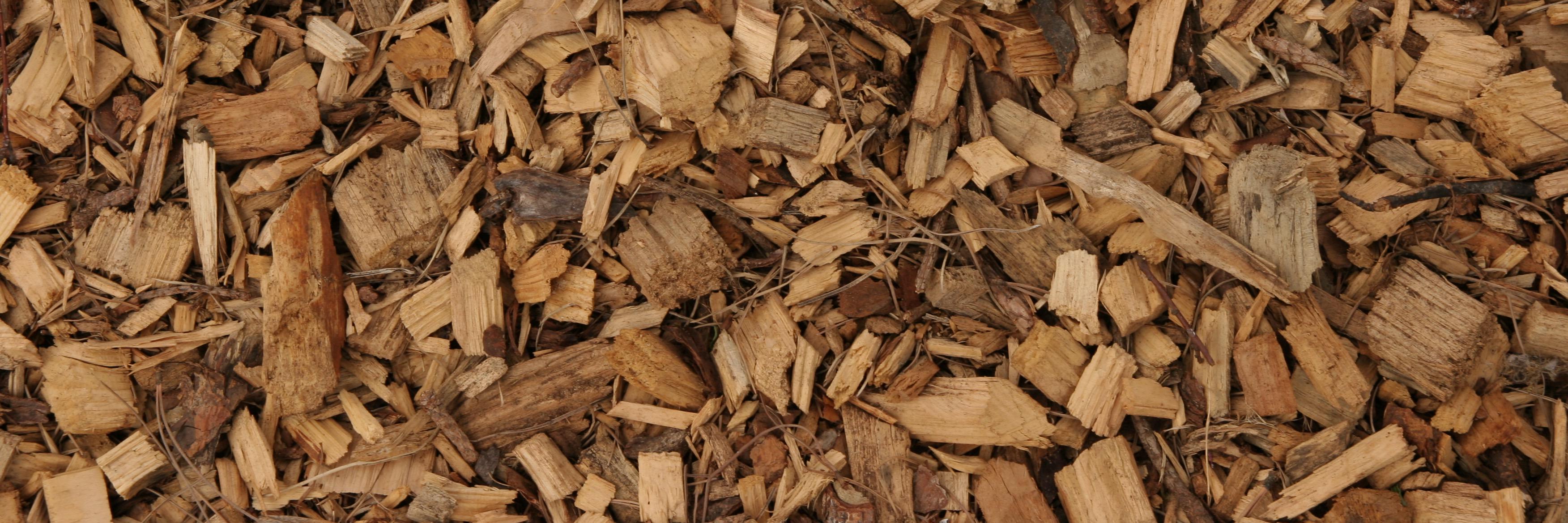 tcclafactoria's profile banner image