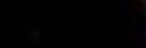 lola banner