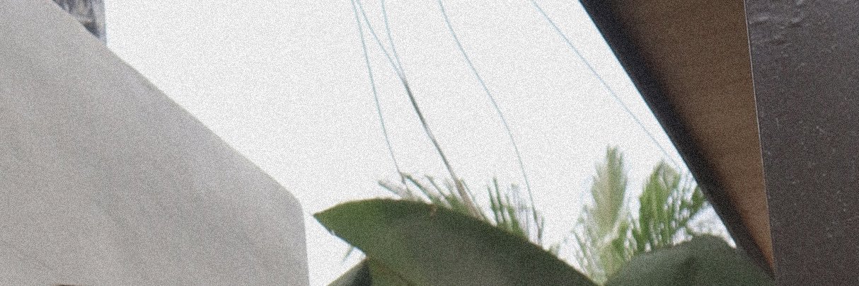 _HALCY0NN's profile banner image