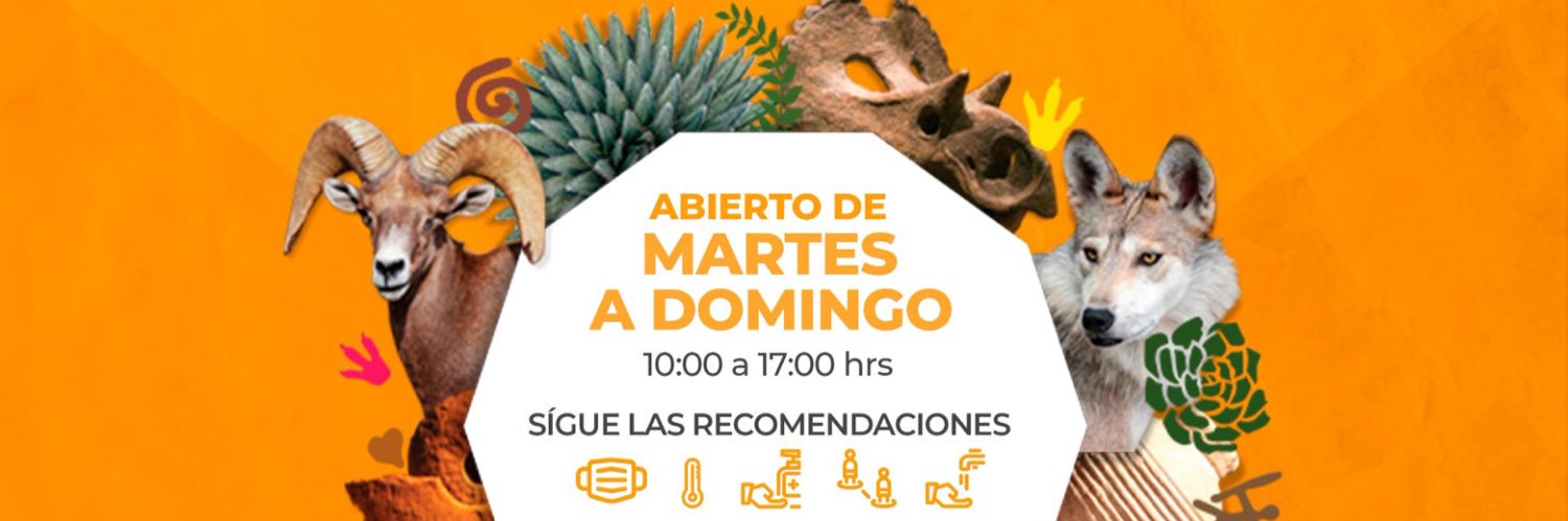 Museo del Desierto 🦖 banner