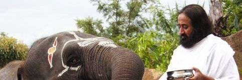 Sahil Kumar banner