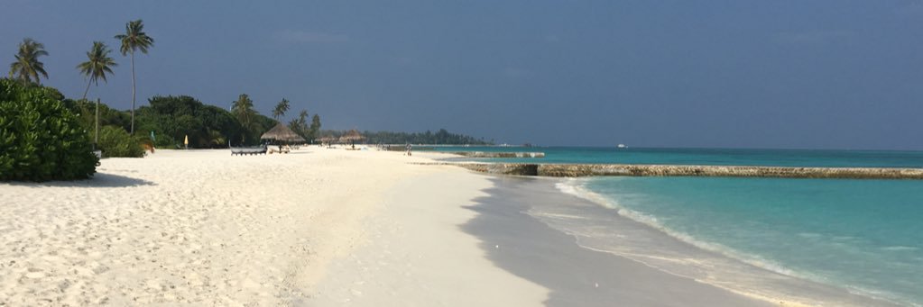 CZ Freelancer_Maldives banner