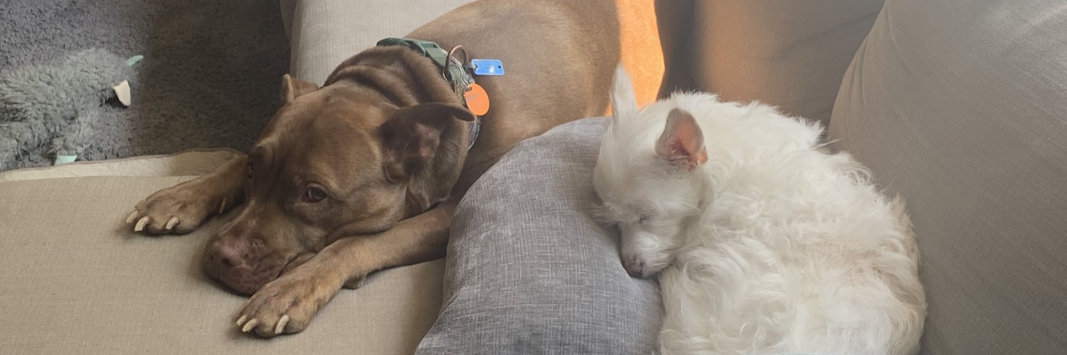 Sebastian Diaz banner