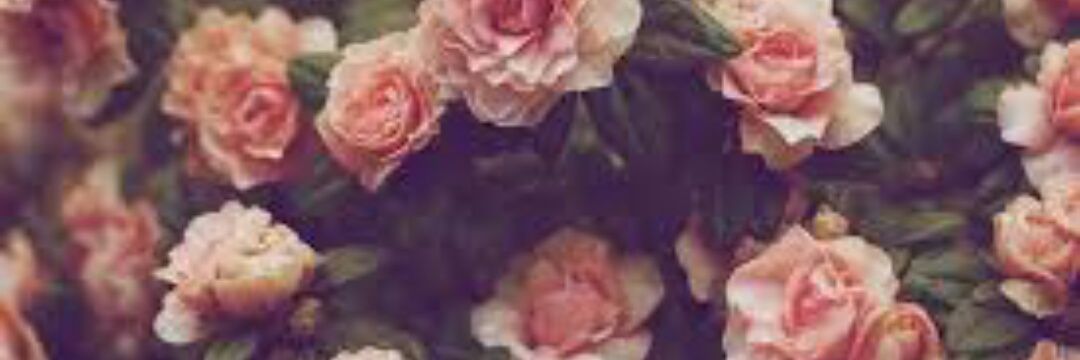 TheArianator94's profile banner image