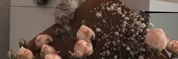 khapeache's profile banner image