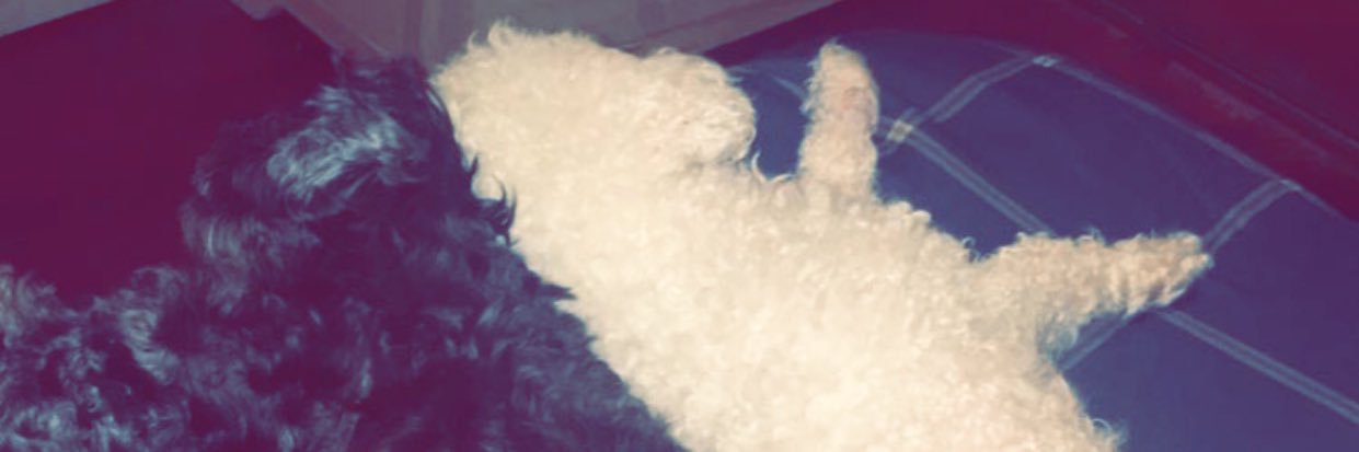 yust_10's profile banner image