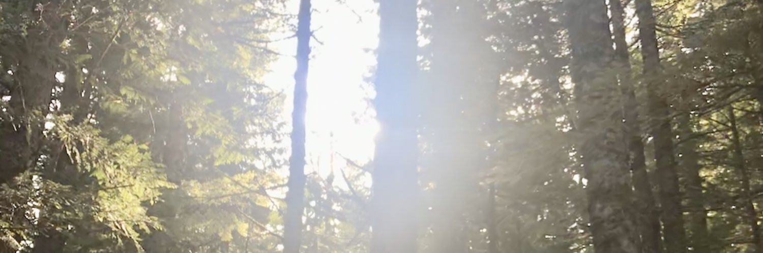 lindyz93's profile banner image