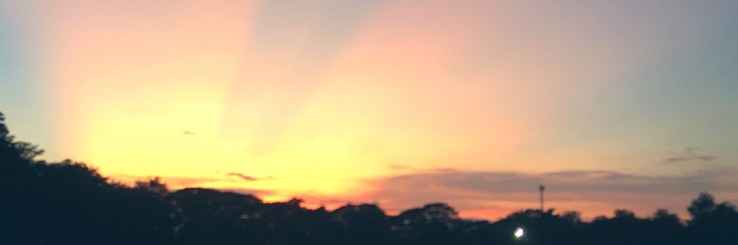 pari257's profile banner image