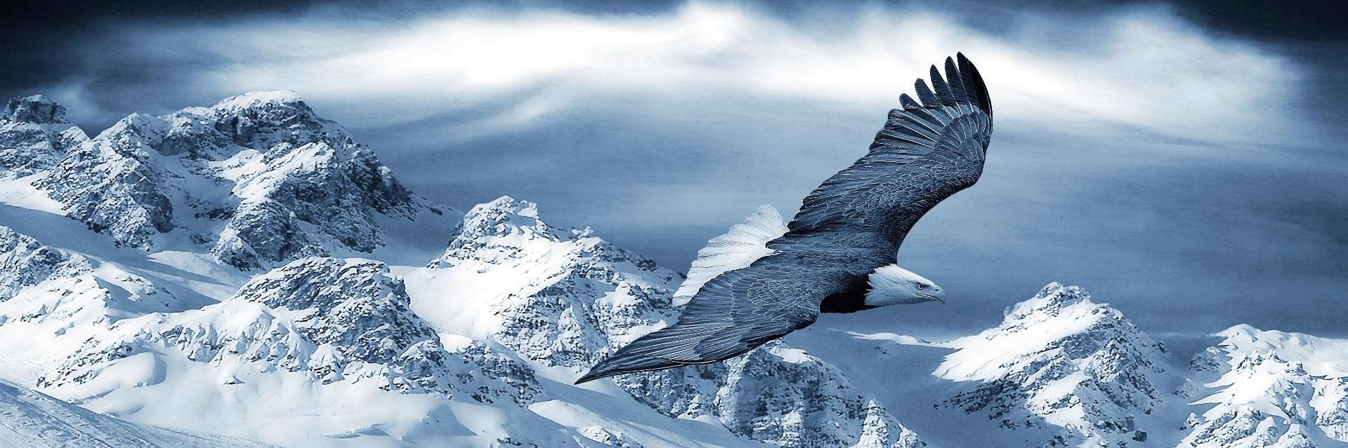 1Avalle's profile banner image