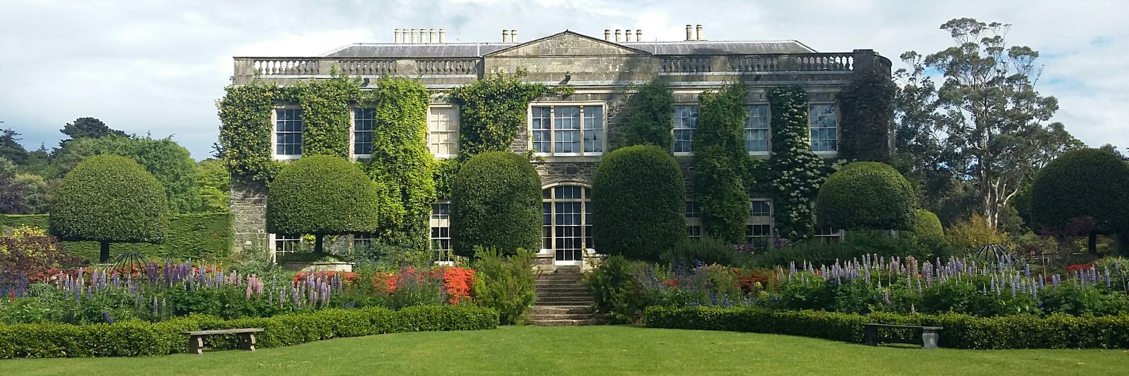 Erin Halliday banner