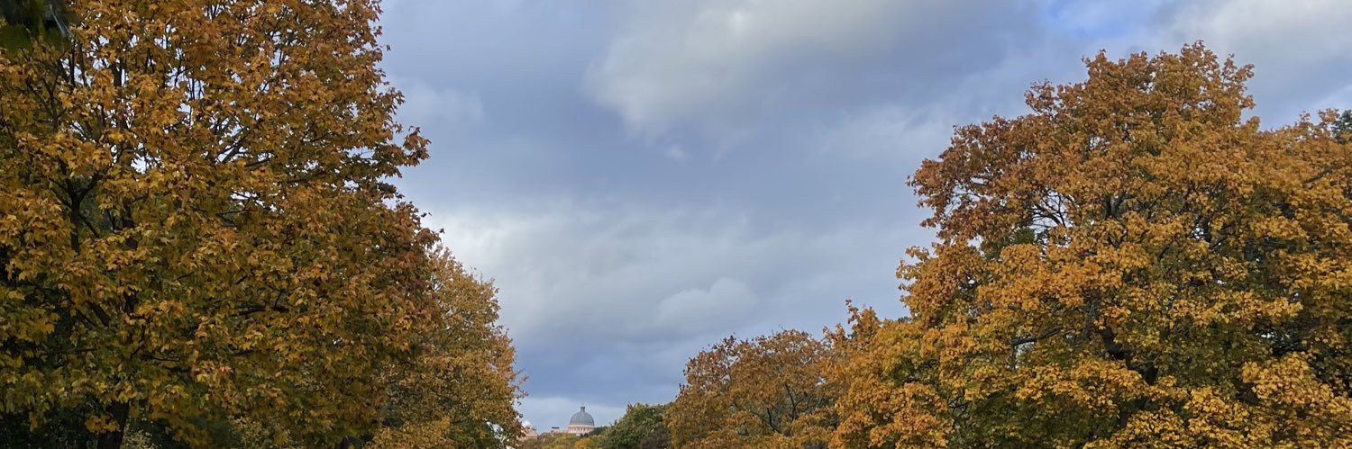 alvarxoo's profile banner image