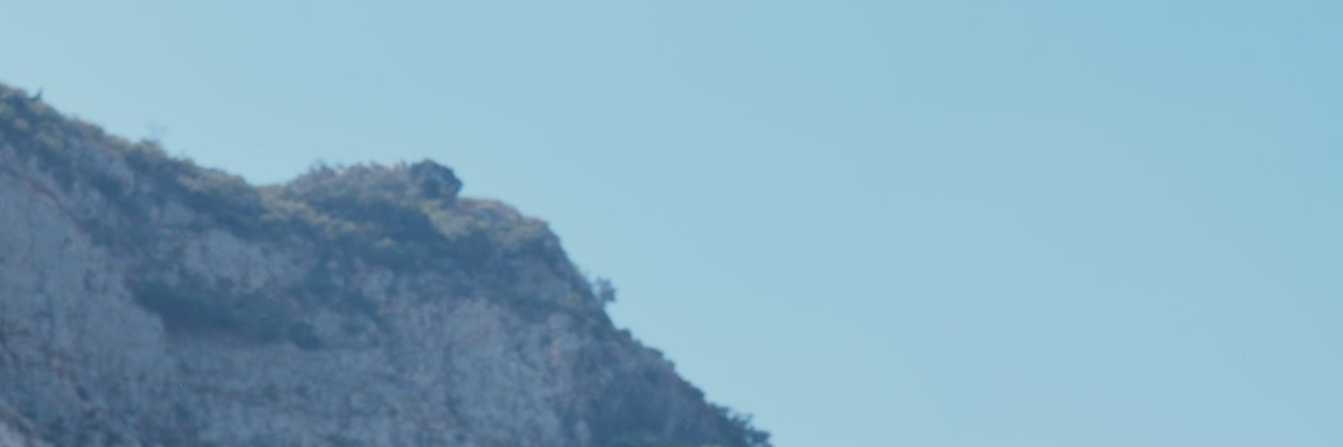 KayalOnline's profile banner image
