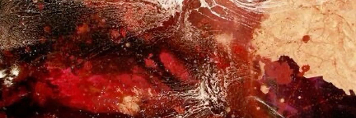 Sharl ♡⋆˙ banner