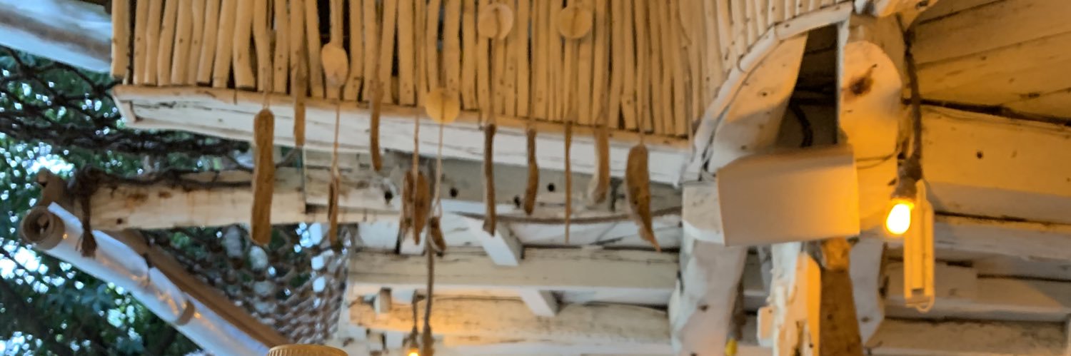 taeniachaaa's profile banner image