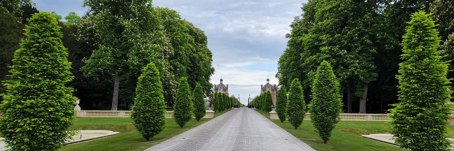 Mohamed Talab banner