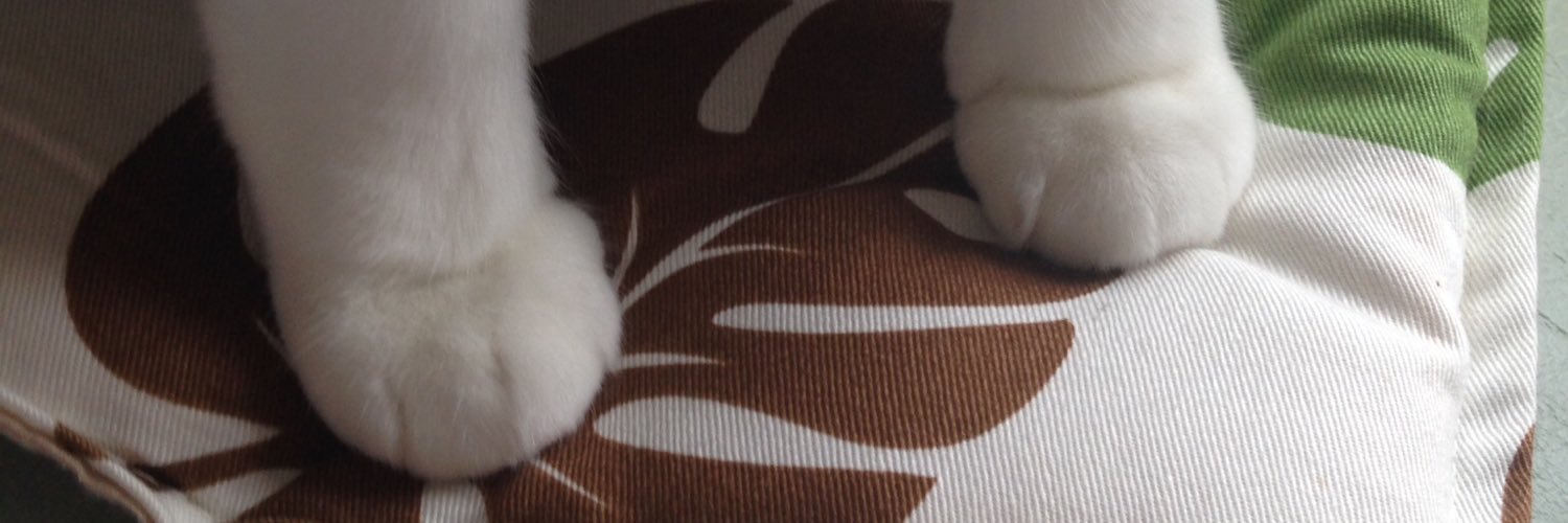 chageyan's profile banner image