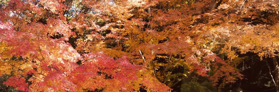 aaa___ra33's profile banner image