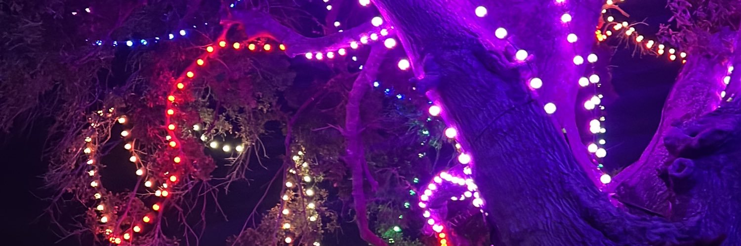 bisblu's profile banner image