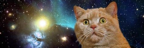 eyeiscat's profile banner image