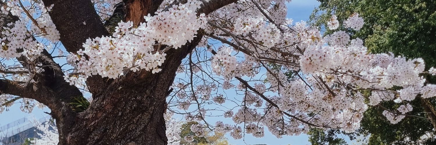 katlimpo's profile banner image