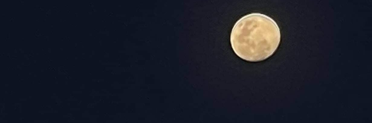 treshsya's profile banner image