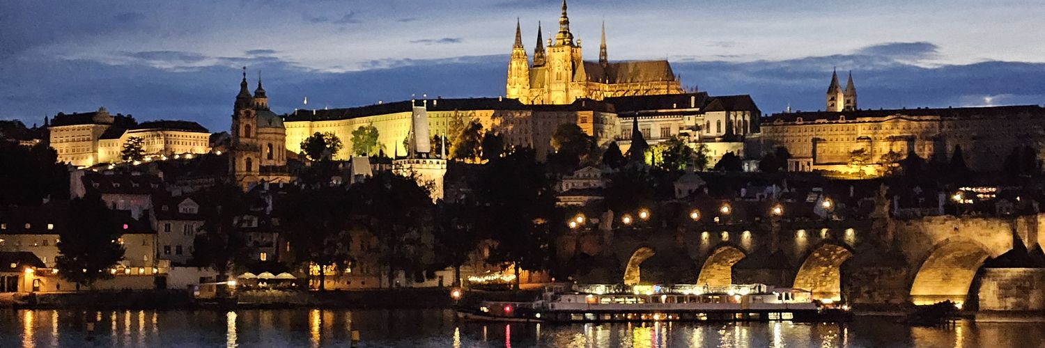 Danni Santana banner