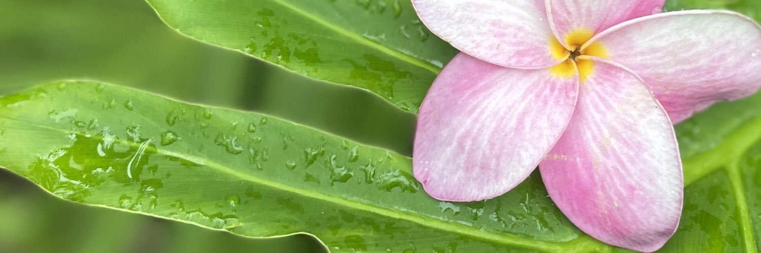 katietweets2u's profile banner image