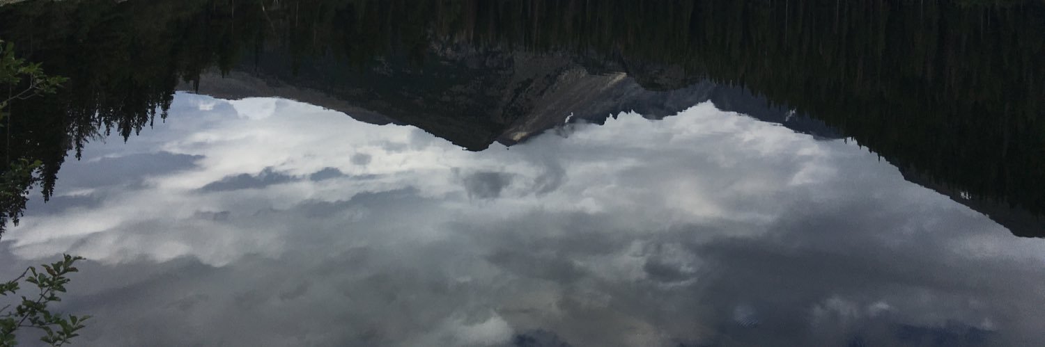 Wydogg's profile banner image