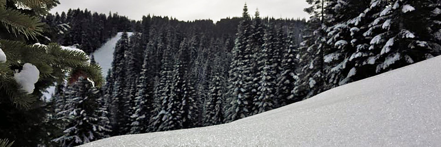 skibluewood's profile banner image