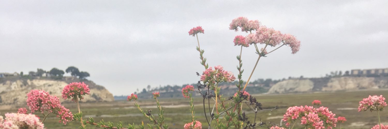 Kristen Elsmore banner