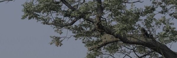 alex🫧☁️ banner