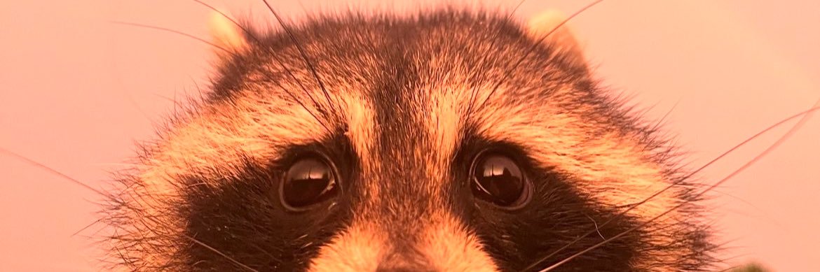 _tisthedamnphd's profile banner image