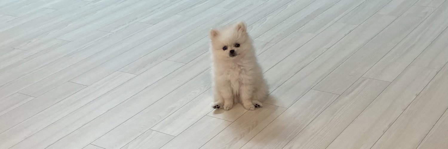 𝘈𝘮𝘪💭 banner