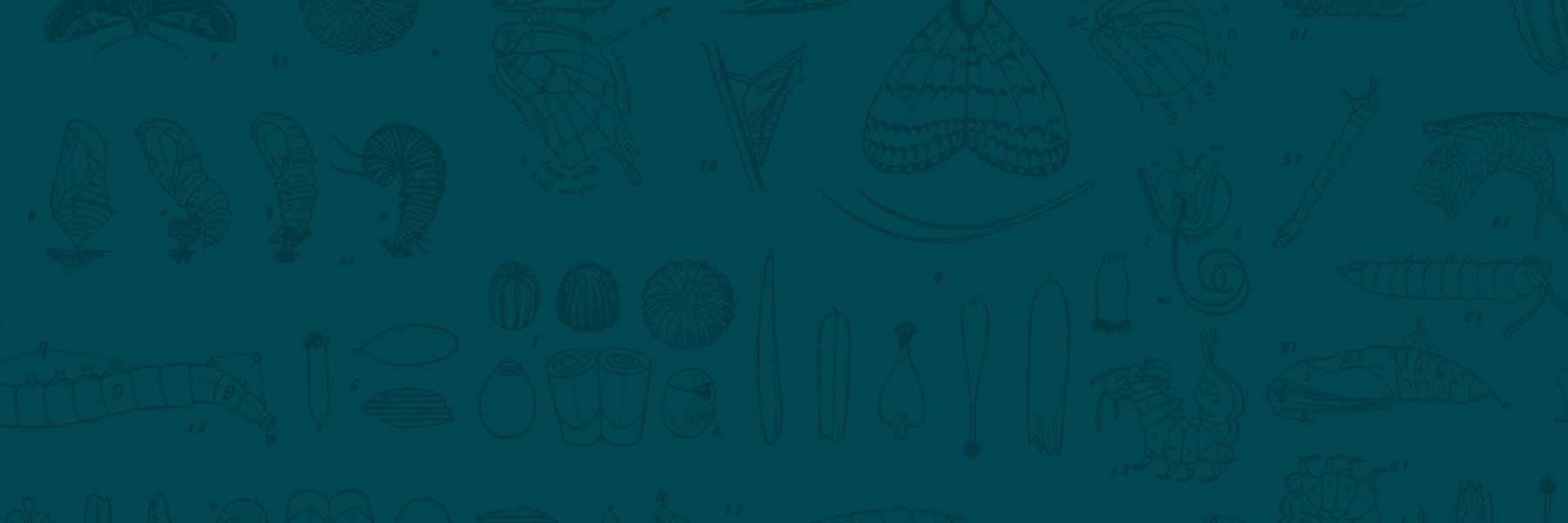 PosternAgency's profile banner image