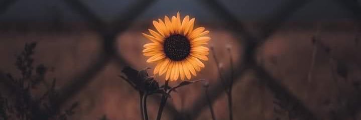 MadisonManey's profile banner image