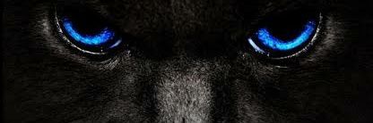 awalirv's profile banner image